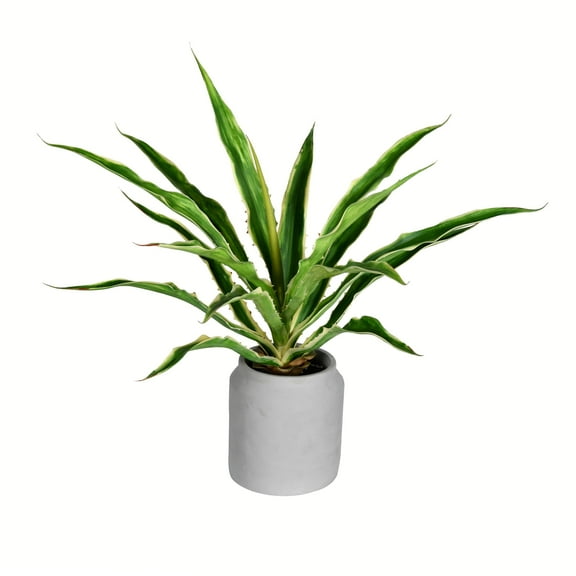 Vickerman 23" Artificial Potted Yucca Plant in Classic White Ceramic Pot.