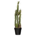 thumbnail image 1 of Vickerman 24" Artificial Green Cactus, Black Plastic Planters Pot., 1 of 2