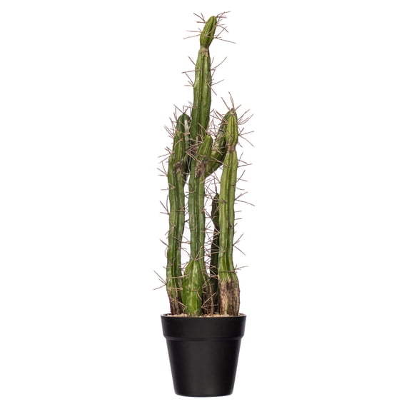 Vickerman 24" Artificial Green Cactus, Black Plastic Planters Pot.