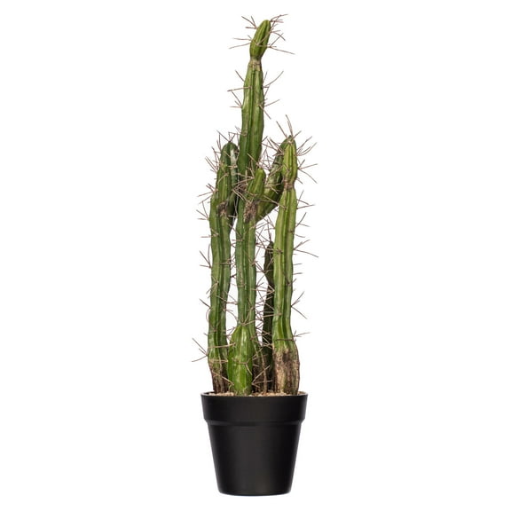 Vickerman 24" Artificial Green Cactus, Black Plastic Planters Pot.