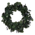 thumbnail image 1 of Vickerman 24" Artificial Green Silver Dollar Populus Eucalyptus Wreath, 1 of 5