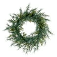 thumbnail image 1 of Vickerman 24" Artificial Mixed Fern Cedar Wreath, 1 of 6