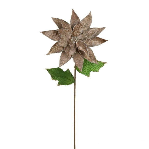 Vickerman 24" Artificial Mocha Polyester Poinsettia Stem, pack of 3
