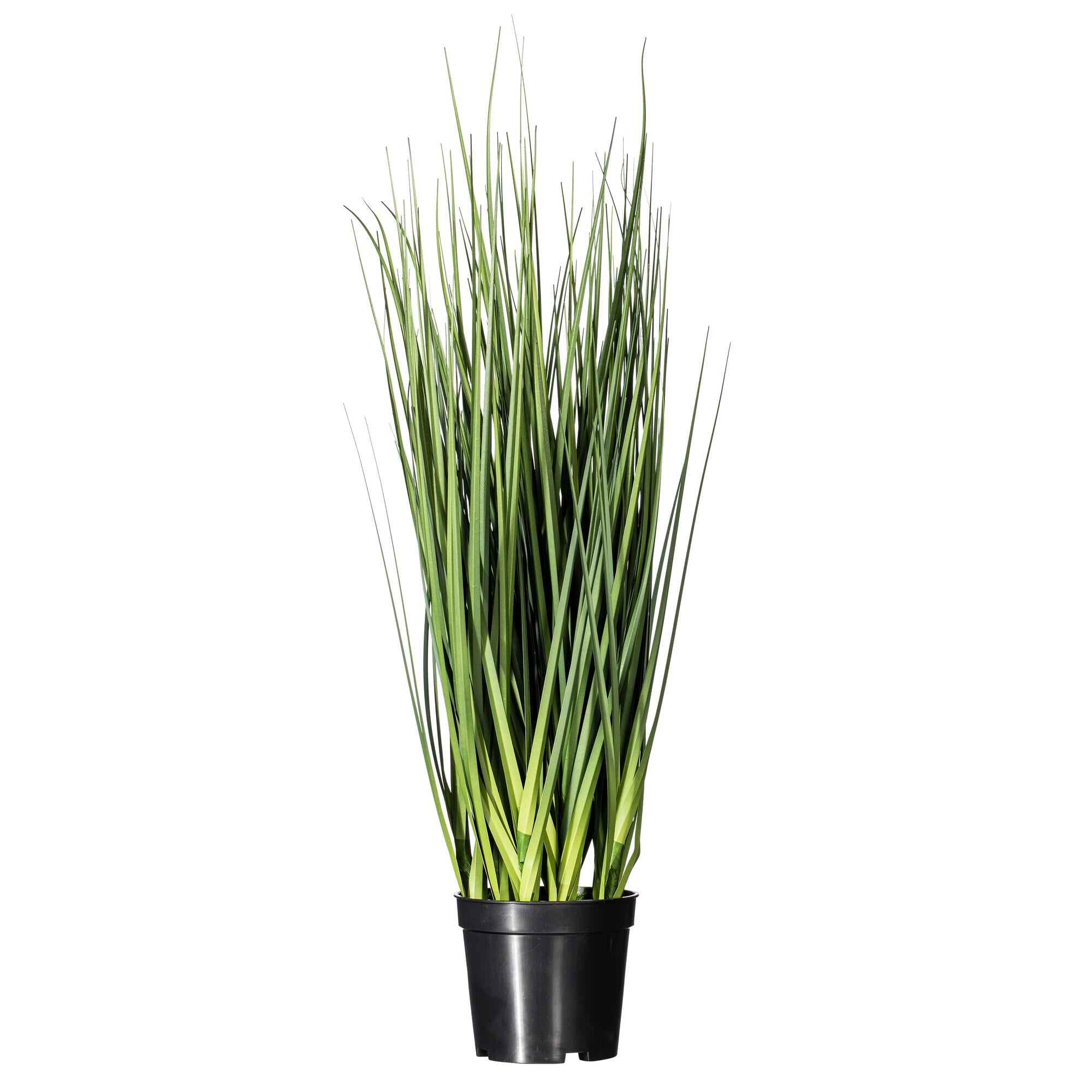 Tiny Green Faux Grass Arrangement in Black Plastic Pot