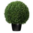 thumbnail image 1 of Vickerman 24" Artificial Potted Green Cedar Ball., 1 of 8