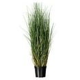 thumbnail image 1 of Vickerman 24" Artificial Potted Green Curled Grass., 1 of 7