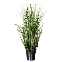 Vickerman 24" Artificial Potted Green Grass and Eucalyptus.