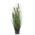 thumbnail image 1 of Vickerman 24" Artificial Potted Green Straight Grass and Cattails., 1 of 6