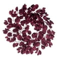 thumbnail image 1 of Vickerman 24" Burgundy Artificial Dogwood Glitter Wreath., 1 of 5