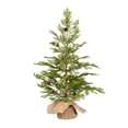 thumbnail image 1 of Vickerman 24" Cedar Pine Artificial Christmas Tree, Unlit, 1 of 3