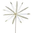 thumbnail image 1 of Vickerman 24" Cream Velvet Papyrus Artificial Christmas Pick, 3 per Bag, 1 of 2