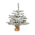 thumbnail image 1 of Vickerman 24" Flocked Anoka Pine Artificial Christmas Tree, Unlit, 1 of 5