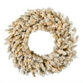 thumbnail image 1 of Vickerman 24" Frosted Gold Artificial Christmas Wreath, Warm White Dura-lit LED Lights, 1 of 5