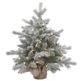 thumbnail image 1 of Vickerman 24" Frosted Sable Pine Artificial Christmas Tree, Clear Dura-Lit® Lights, 1 of 4
