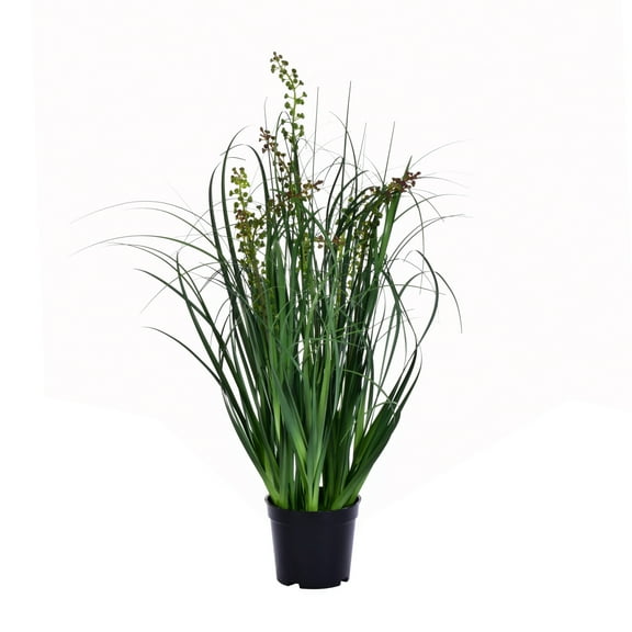 Vickerman 24" PVC Artificial Potted Green Sheep's Grass and Plastic Grass.