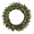thumbnail image 1 of Vickerman 24" Vallejo Mix Wreath 50CL Dura-Lit, 1 of 2