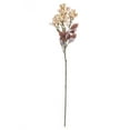 thumbnail image 1 of Vickerman 25.5" Cream Artificial Primrose Flower Spray, 3 per bag., 1 of 4