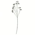 thumbnail image 1 of Vickerman 25" Artificial Brown and White Patrinia Spray. Includes 6 sprays per pack., 1 of 4