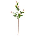 thumbnail image 1 of Vickerman 25" Artificial Green Scimmia Leaf with Flower Spray. Includes 6 sprays per pack., 1 of 4