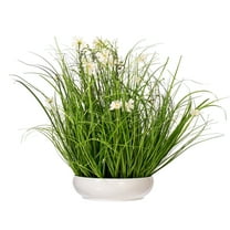 Vickerman 25" Artificial Potted Cream Cosmos and Green Grass in White Plastic Pot.