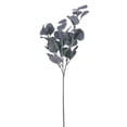 thumbnail image 1 of Vickerman 26" Artificial Frosted Green Money Leaf Spray. 3 Sprays In A Bag., 1 of 2