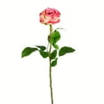 thumbnail image 1 of Vickerman 26" Artificial Light Pink Rose Stem, 6 per Bag, 1 of 3