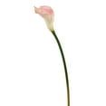 thumbnail image 1 of Vickerman 26'' Artificial Pink Calla Lily Stem, 6 per Bag, 1 of 3