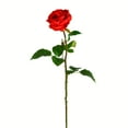 thumbnail image 1 of Vickerman 26" Artificial Red Rose Stem, 6 per Bag, 1 of 2