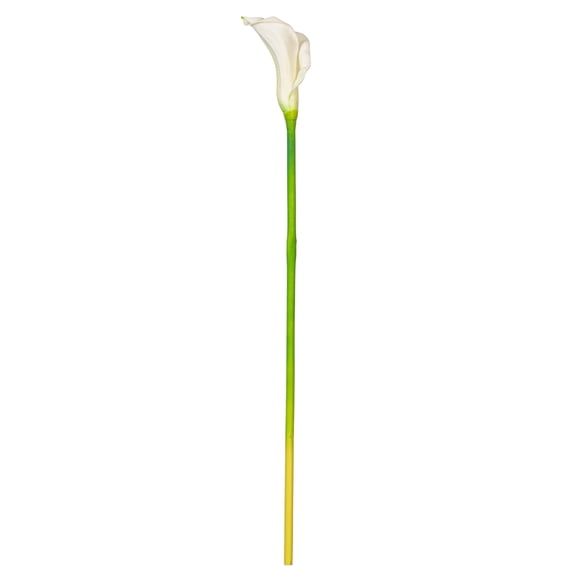 Vickerman 26'' Artificial White Calla Lily Stem, 6 per Bag.