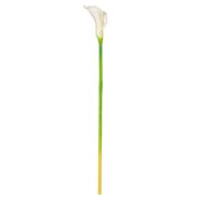 Vickerman 26 Artificial White Calla Lily Stem, 6 per Bag.