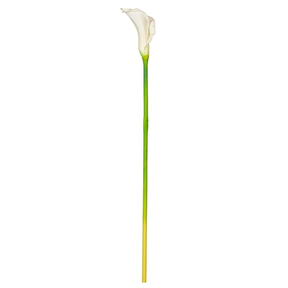 Vickerman 26'' Artificial White Calla Lily Stem, 6 per Bag.