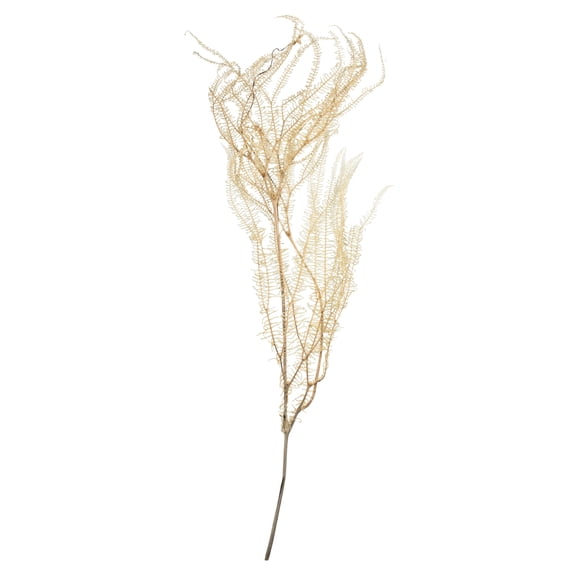 Vickerman 26" Bleached Fern - Andares, 4 oz per pack, Dried