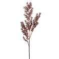 thumbnail image 1 of Vickerman 26" Light Brown Artificial Dry Boxwood Spray, 2 per bag., 1 of 1