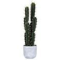 thumbnail image 1 of Vickerman 27.5" Artificial Green Cactus Plant., 1 of 5