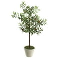 thumbnail image 1 of Vickerman 27" Artificial Green Olive Hill Tree., 1 of 8