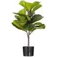 thumbnail image 1 of Vickerman 27" Green Fiddle Leaf Plant in Black Pot., 1 of 3