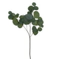 thumbnail image 1 of Vickerman 28" Artificial Green Silver Dollar Populus Eucalyptus Spray. 2 Sprays In A Bag., 1 of 2
