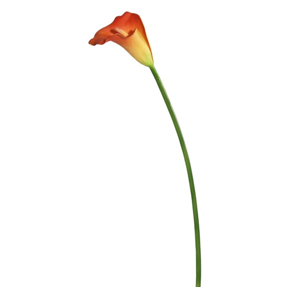Vickerman 28" Artificial Orange and Yellow Large Stem Calla Lily