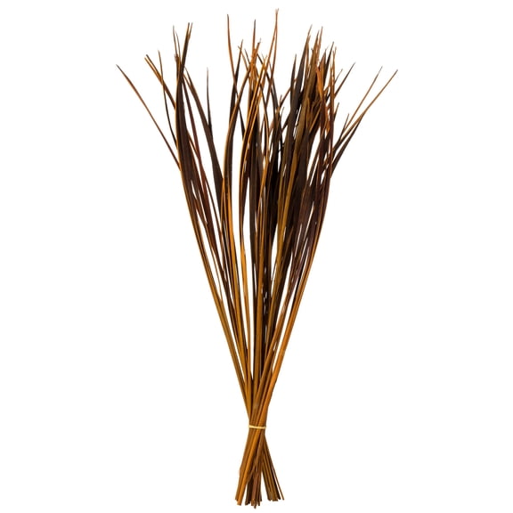 Vickerman 28" Aspen Gold Splinter Grass, 11 oz Bundle, Dried