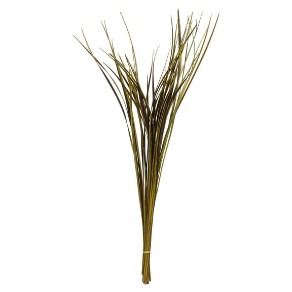 Vickerman 28" Basil Splinter Grass, 11 oz Bundle, Dried