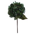 thumbnail image 1 of Vickerman 29" Lime Velvet Hydrangea Artificial Christmas Pick, 1 of 2