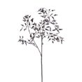 thumbnail image 1 of Vickerman 29" Silver Bamboo Leaf Artificial Christmas Spray. Includes 4 sprays per pack., 1 of 1