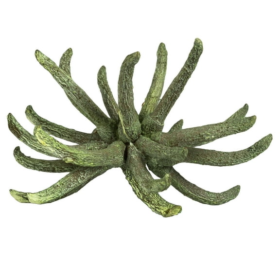 Vickerman 3-4" Frosted Green Spider Claws, Includes 16-20 pieces per tray, Dried