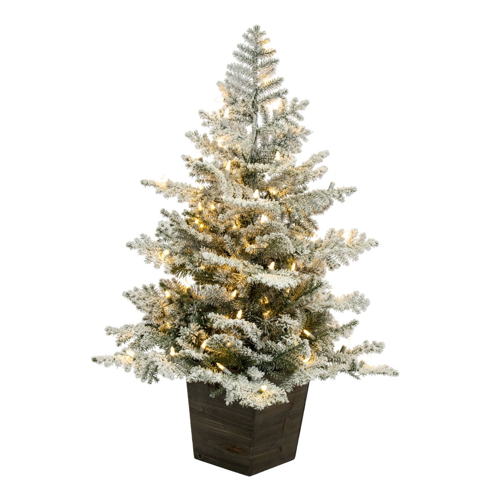 Vickerman 3' x 25" Potted Snowy Rosemary Pine Artificial Pre-Lit Christmas Tree, Dura-Lit® Warm White LED Mini Lights, Wood Container