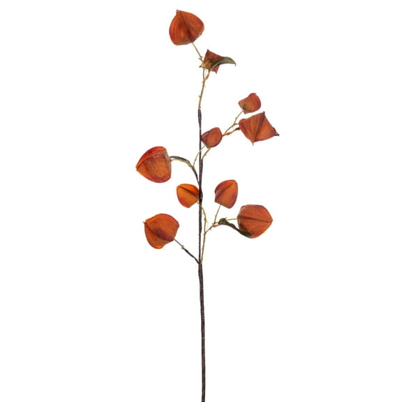 Vickerman 30.5" Orange Artificial Dried Lantern Spray, 2 per bag.