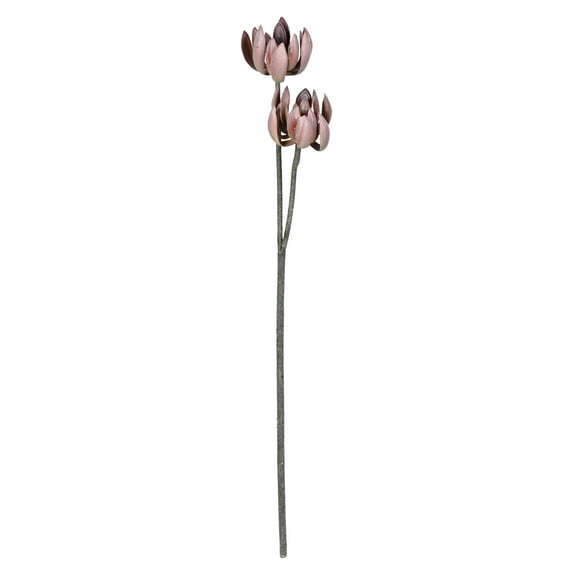 Vickerman 30" Artificial Rust Brown Echeveria Spray.