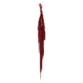 thumbnail image 1 of Vickerman 30" Merlot Amaranthus Bundle, Preserved, 1 of 4