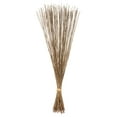 thumbnail image 1 of Vickerman 30" Natural Marsh Reed bundle tied with rafia, 10 oz, Dried, 1 of 4