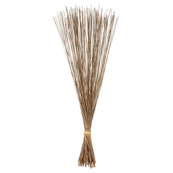 Vickerman 30" Natural Marsh Reed bundle tied with rafia, 10 oz, Dried