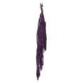 thumbnail image 1 of Vickerman 30" Violet Amaranthus Bundle, Preserved, 1 of 4